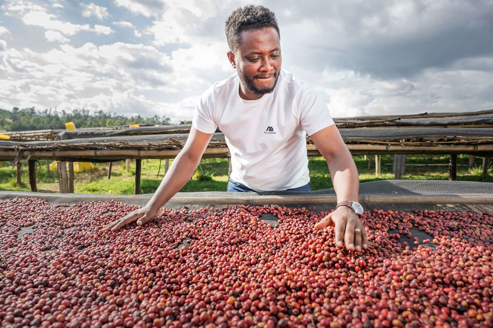 Tamiru Tadesse: inovátor etiopské kávy z Bensy