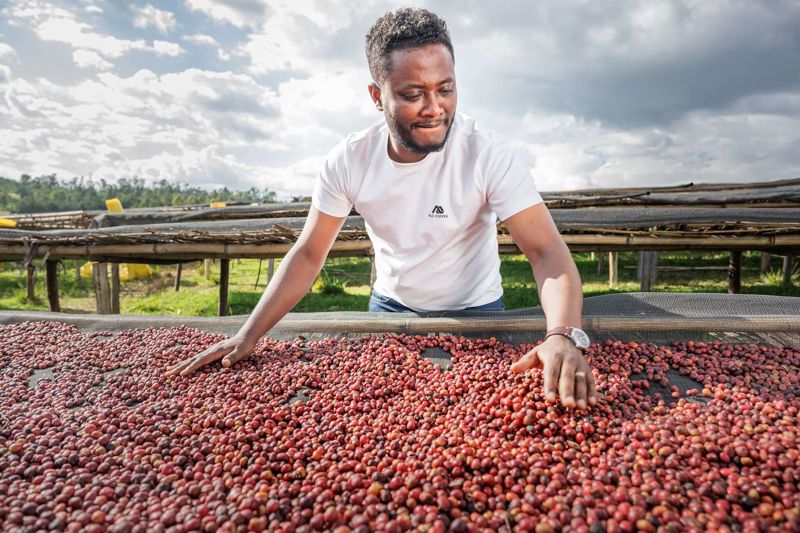 Tamiru Tadesse: inovátor etiopské kávy z Bensy